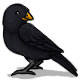 Poe's Raven the Blackbird