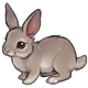 Alyssa the A Fluffy Wuffy Grey Bunny