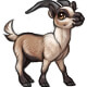 Kelei the French Alpine Goat