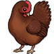 May the Rhode Island Red Hen