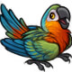 Kaida the Talking Parrot