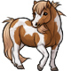Cinderellie the Sweet Paint Pony