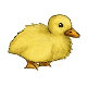 Mört-Sune the Yellow Fluffy Duckling