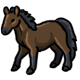 Carbine the Little Brown Pony