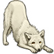Yeti the Gentle White Wolf